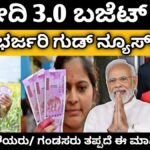 modi 3.0 buget