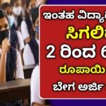 reliance foundation scholarship