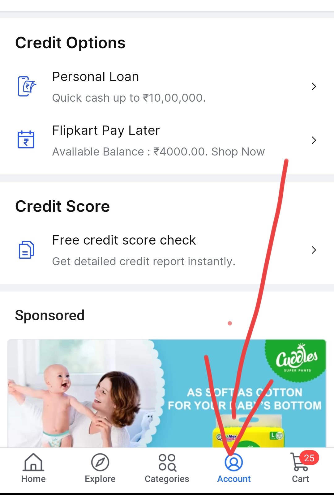 flipkart personal loan