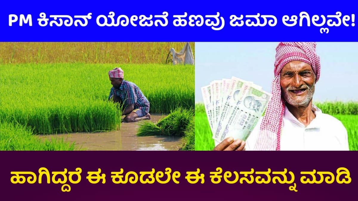 Pm Kisan Yojana Upadte