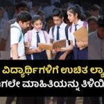 Free Laptop Scheme