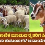 Goat Farming Scheme