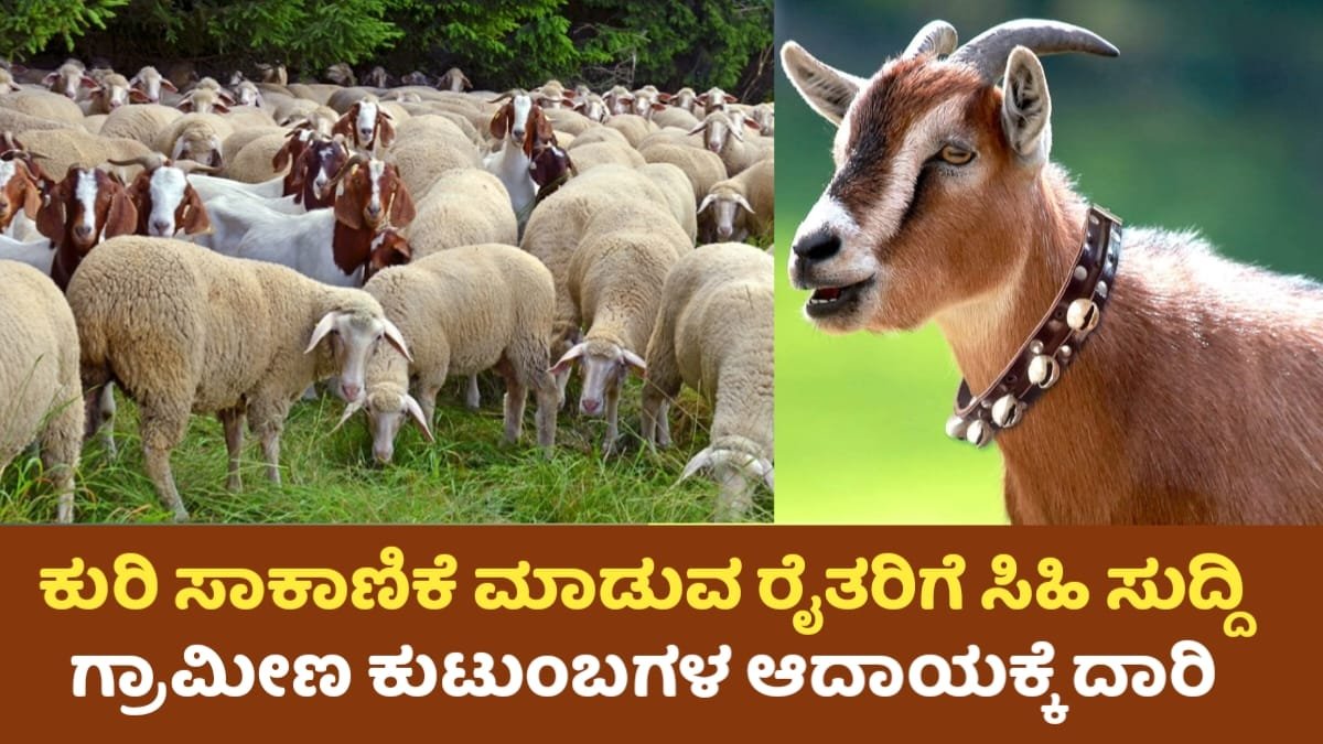 Goat Farming Scheme