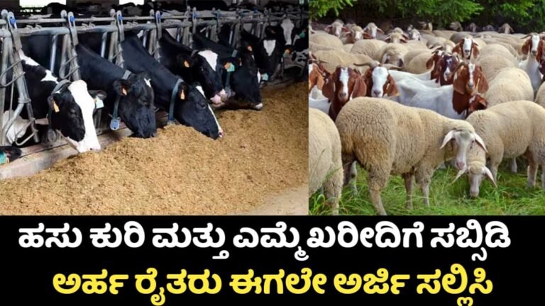 Pashupalan Loan: ಪಶುಪಾಲನಾ ಸಾಲ ಯೋಜನೆ ಹಸು-ಎಮ್ಮೆ ಖರೀದಿಗೆ ಸಬ್ಸಿಡಿಯೊಂದಿಗೆ ಸಾಲ ಅವಕಾಶ