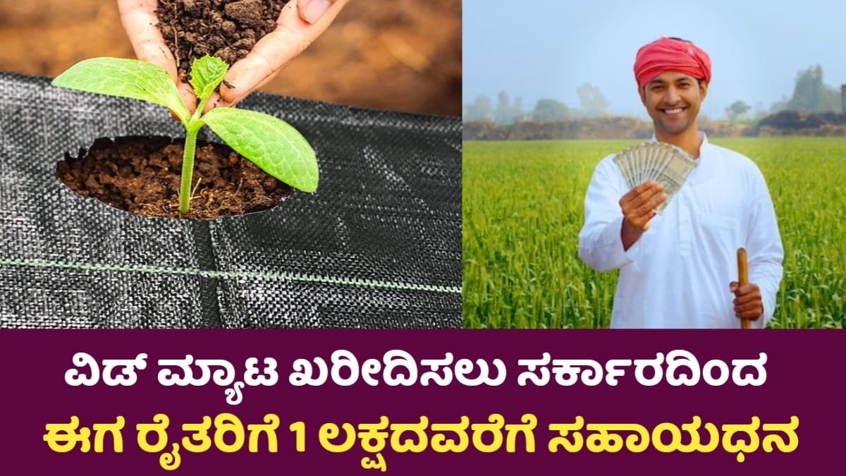 Weed Mat Scheme:  ಸರ್ಕಾರದಿಂದ ₹1 ಲಕ್ಷ ಸಹಾಯಧನ – ವೀಡ್ ಮ್ಯಾಟ್ ಸಬ್ಸಿಡಿ ಯೋಜನೆಯ ಸಂಪೂರ್ಣ ಮಾಹಿತಿ!