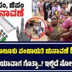 ಜಿಲ್ಲಾ & ತಾಲೂಕು ಪಂಚಾಯತಿ ಚುನಾವಣೆ
