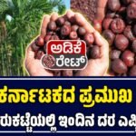 ಇಂದಿನ ಅಡಿಕೆ ದರ