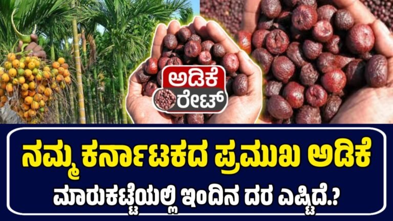 ಇಂದಿನ ಅಡಿಕೆ ಮಾರುಕಟ್ಟೆ ದರಗಳು