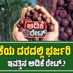 Today Adike Rate