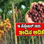 Today Adike Rate