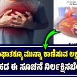 ಹೃದಯಾಘಾತ