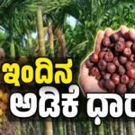 ಅಡಿಕೆ ಧಾರಣೆ