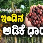 ಅಡಿಕೆ ಧಾರಣೆ