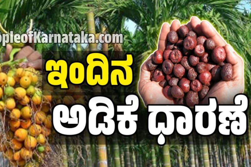 ಅಡಿಕೆ ಧಾರಣೆ | 13 ಅಕ್ಟೋಬರ್ 2025  | ಇಂದಿನ ಅಡಿಕೆಗೆ ಎಷ್ಟಿದೆ ರೇಟ್‌ | Today Adike Rate