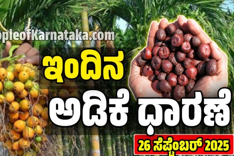 ಅಡಿಕೆ ಧಾರಣೆ | 26 ಸೆಪ್ಟೆಂಬರ್ 2025 | ಇವತ್ತು ಯಾವ್ಯಾವ ಅಡಿಗೆ ಎಷ್ಟಿದೆ ರೇಟ್‌? Today Adike Rate