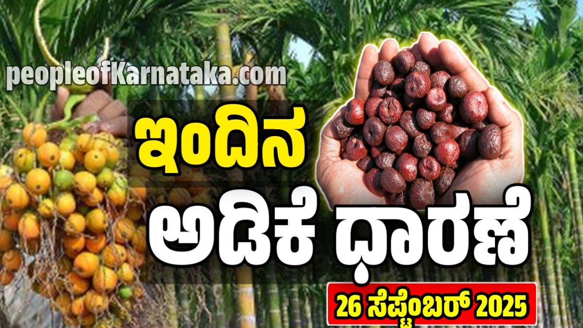 ಅಡಿಕೆ ಧಾರಣೆ