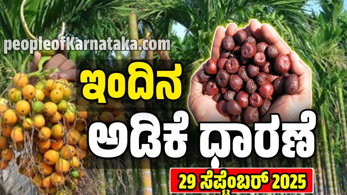 Today Adike Rate