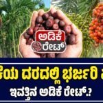 ಅಡಿಕೆ ಧಾರಣೆ