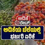 ಅಡಿಕೆ ಬೆಲೆ