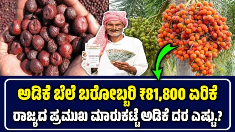 ಅಡಿಕೆ ಧಾರಣೆ | 07 ಅಕ್ಟೋಬರ್ 2025 | ಇಂದು ಅಡಿಕೆ ಬೆಲೆ ಬರೋಬ್ಬರಿ 81000 ಗೆ ಏರಿಕೆ | Today Adike Rate