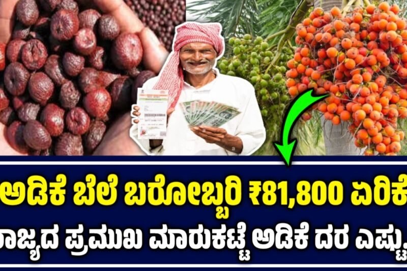 ಅಡಿಕೆ ಧಾರಣೆ | 07 ಅಕ್ಟೋಬರ್ 2025  | ಇಂದು ಅಡಿಕೆ ಬೆಲೆ ಬರೋಬ್ಬರಿ 81000 ಗೆ ಏರಿಕೆ | Today Adike Rate