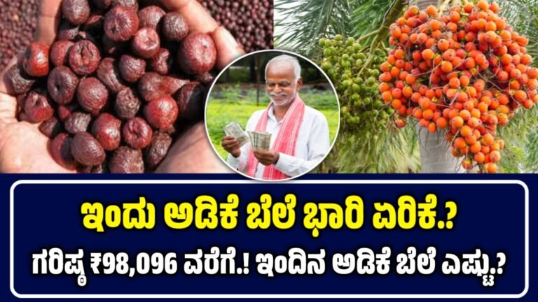 ಇಂದಿನ ಅಡಿಕೆ ಬೆಲೆ