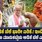 ಕರ್ನಾಟಕದಲ್ಲಿ ಇಂದಿನ ಅಡಿಕೆ ಮಾರುಕಟ್ಟೆ ದರಗಳು
