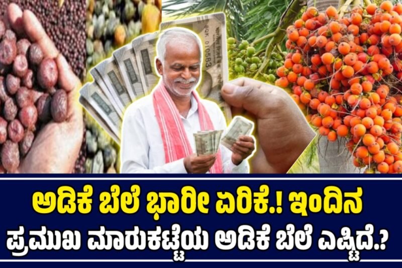 ಕರ್ನಾಟಕದಲ್ಲಿ ಇಂದಿನ ಅಡಿಕೆ ಮಾರುಕಟ್ಟೆ ಬೆಲೆಗಳು: 02 ನವೆಂಬರ್ 2025 | Today Adike Rate 
