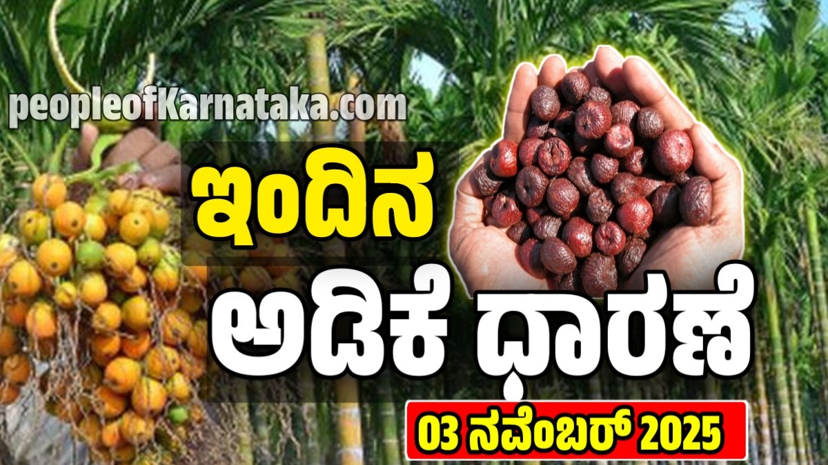 ಇಂದಿನ ಅಡಿಕೆ ಬೆಲೆ