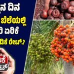 ಕರ್ನಾಟಕದ ಅಡಿಕೆ ಮಾರುಕಟ್ಟೆಯ ಬೆಲೆಗಳು