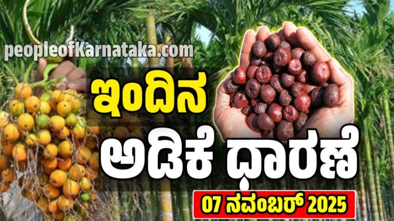 ಕರ್ನಾಟಕದ ಪ್ರಮುಖ ಅಡಿಕೆ ಮಾರುಕಟ್ಟೆಗಳ ಇಂದಿನ ಅಡಿಕೆ ಧಾರಣೆ: ನವೆಂಬರ್ 7, 2025 | Today Adike Rete 