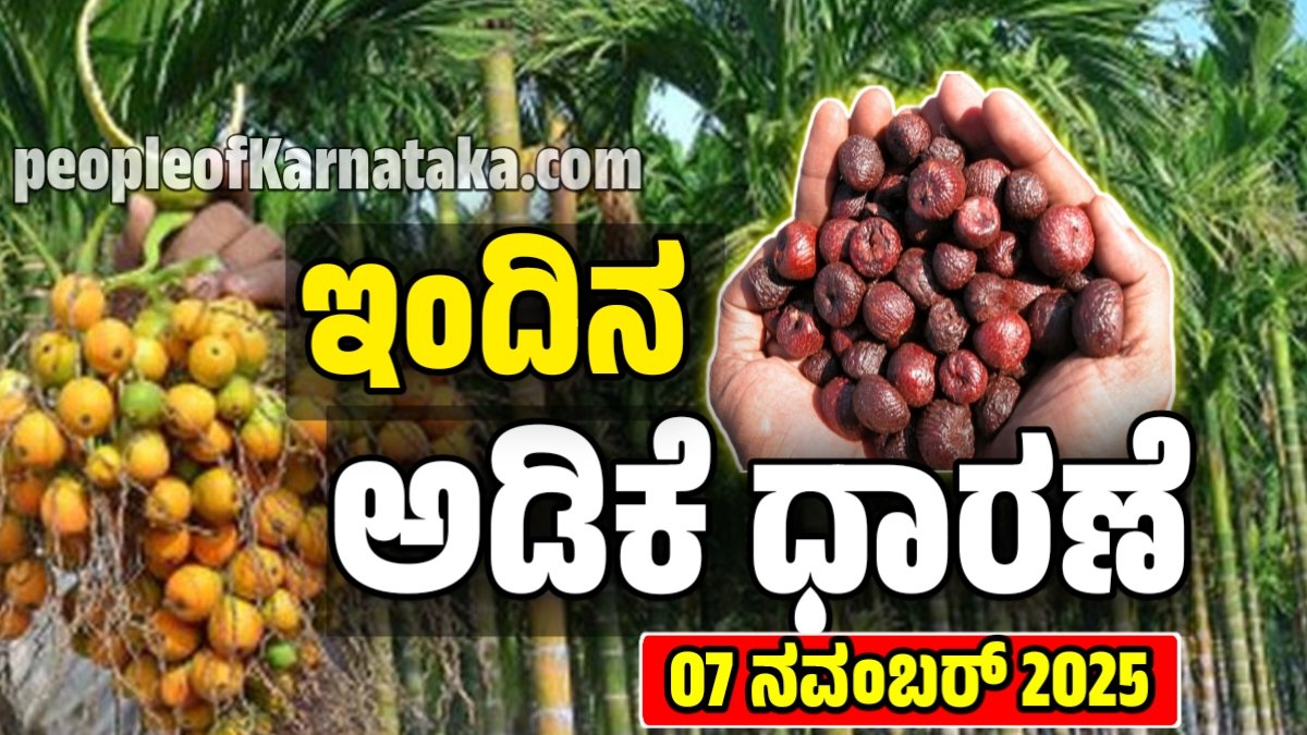 ಇಂದಿನ ಅಡಿಕೆ ಧಾರಣೆ