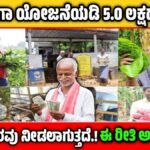 Narega Scheme Subsidy