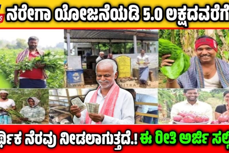 Narega Scheme Subsidy- ನರೇಗಾ ಯೋಜನೆಯಡಿ 5.0 ಲಕ್ಷದವರೆಗೆ ಆರ್ಥಿಕ ನೆರವು! ಇಲ್ಲಿದೆ ಸಂಪೂರ್ಣ ಮಾಹಿತಿ!
