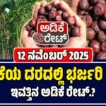 ಇಂದಿನ ಅಡಿಕೆ ಬೆಲೆಗಳು