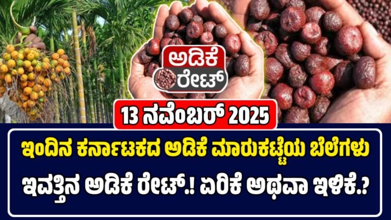 ಅಡಿಕೆ ಬೆಲೆಗಳು