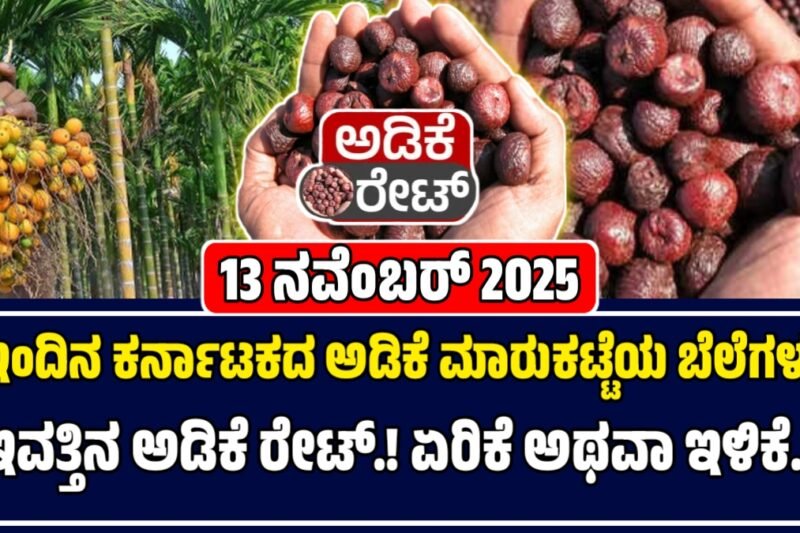 ಅಡಿಕೆ ಬೆಲೆಗಳು