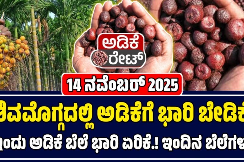 ಅಡಿಕೆ ಧಾರಣೆ