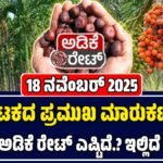 ಅಡಿಕೆ ಧಾರಣೆ 18-11-2025