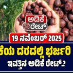 ಅಡಿಕೆ ಧಾರಣೆ 19-11-2025