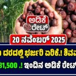 ಅಡಿಕೆ ಧಾರಣೆ 20-11-2025