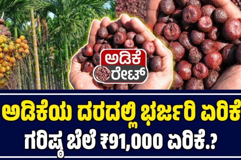 Adike Rate Today: ಅಡಿಕೆ ಬೆಳೆಗಾರರಿಗೆ ಬಂಪರ್ ಗುಡ್ ನ್ಯೂಸ್.! ಸ್ಪೆಷಲ್ ವೆರೈಟಿ ಬೆಲೆ ₹91,000 ಏರಿಕೆ – ಇಂದಿನ ಅಡಿಕೆ ಧಾರಣೆ