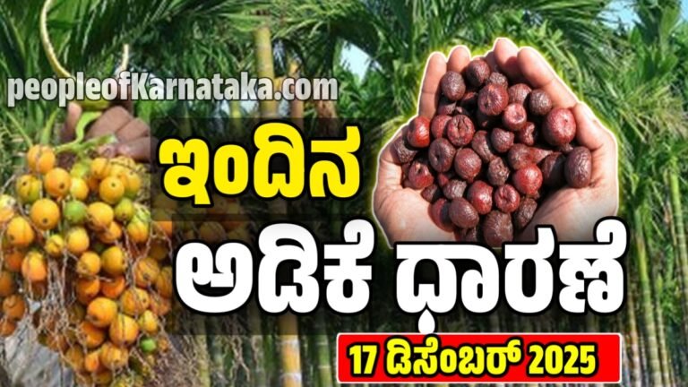 Adike Rete Today: ಇಂದಿನ ಎಲ್ಲಾ ಮಾರುಕಟ್ಟೆಯ ಅಡಿಕೆ ಧಾರಣೆ ವಿವರಗಳು