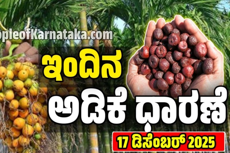 Adike Rete Today: ಇಂದಿನ ಎಲ್ಲಾ ಮಾರುಕಟ್ಟೆಯ ಅಡಿಕೆ ಧಾರಣೆ ವಿವರಗಳು