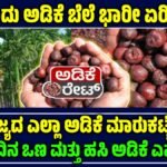 ಅಡಿಕೆ ಮಾರುಕಟ್ಟೆ ದರ