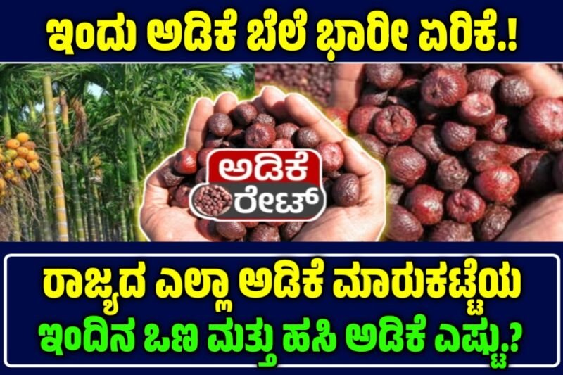 ಅಡಿಕೆ ಮಾರುಕಟ್ಟೆ ದರ