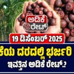 ಅಡಿಕೆ ಧಾರಣೆ