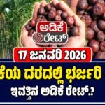 ಅಡಿಕೆ ಕಾಯಿ 17 ಜನವರಿ 2026