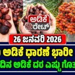 ಅಡಿಕೆ ಕಾಯಿ