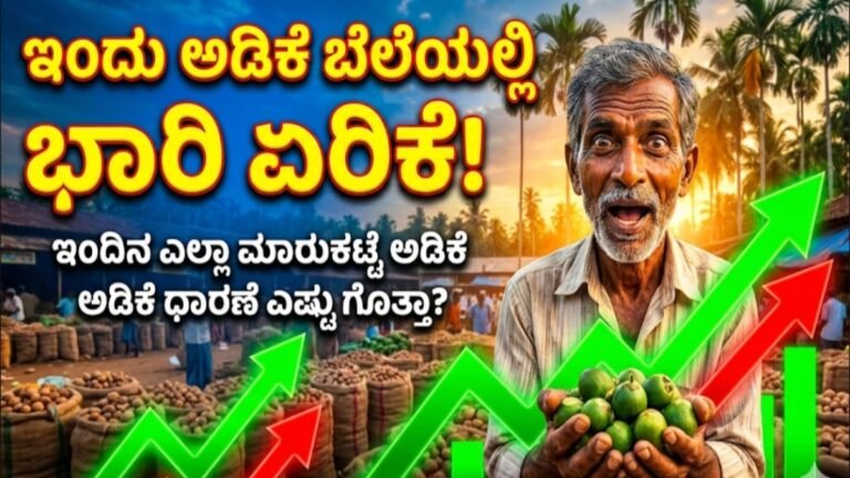 ಅಡಿಕೆ ಕಾಯಿ: ಇಂದಿನ ಅಡಿಕೆ ಧಾರಣೆ ಭಾರೀ ಏರಿಕೆ – ಇಲ್ಲಿದೆ ನೋಡಿ ಮಾಹಿತಿ
